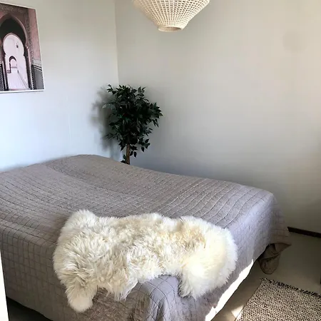 Top Floor One Bedroom With Balcony *